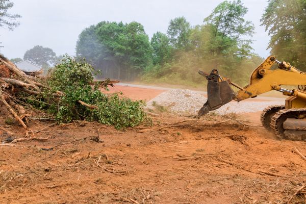 Cost of Forestry Mulching Service in Pocatello