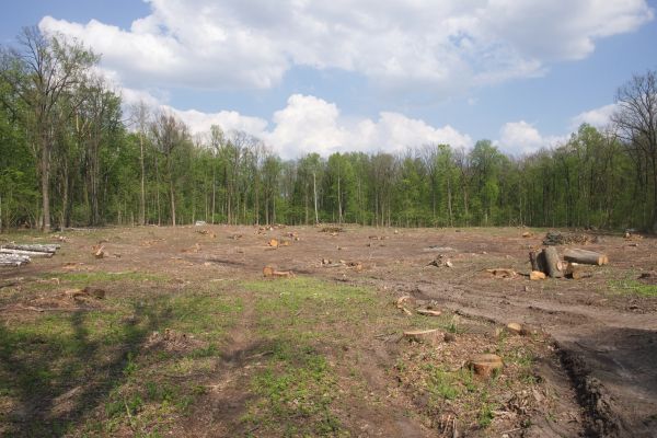 Cost of Pasture Clearing in Pocatello