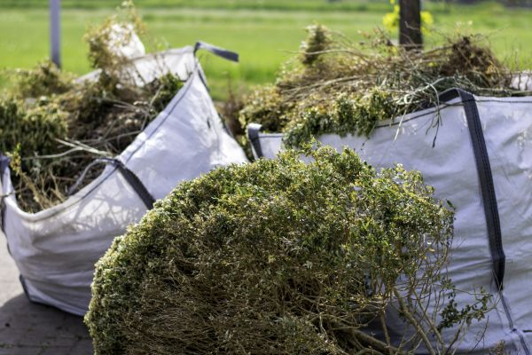 Cost of Bushes Clearing in Pocatello