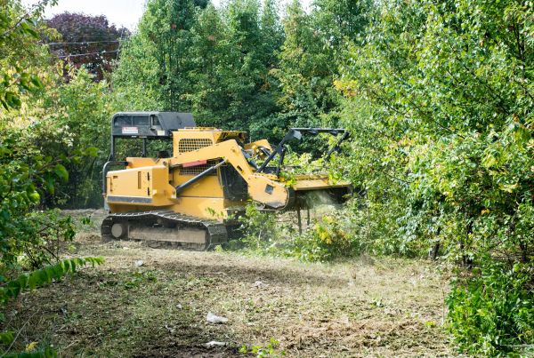Cost of Pathway Clearing in Pocatello