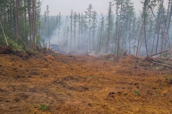 Cost of Hill Clearing in Pocatello