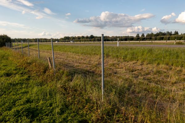 Cost of Property Line Clearing in Pocatello