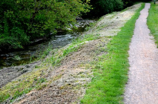 Cost of Trail Cutting in Pocatello