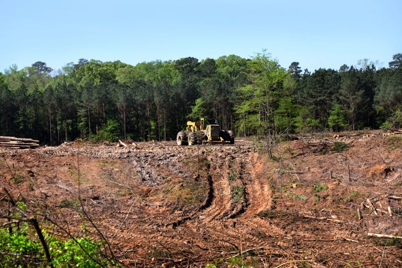 Large-Scale Land Clearing Projects